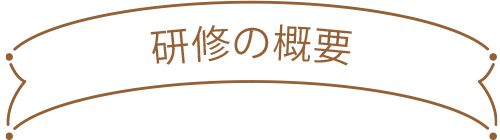 研修の概要